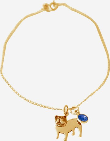 Gemshine Armband 'Bulldogge ' in Goud: voorkant