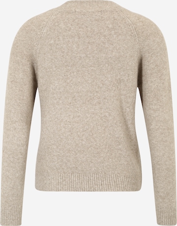 Vero Moda Petite Trui 'DOFFY' in Beige