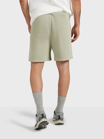 Trendsplant Regular Shorts 'Essentials' in Grün: Rückseite