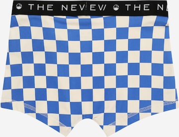 The New Underpants in Blue