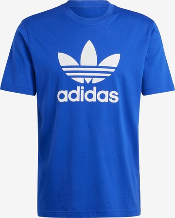 ADIDAS ORIGINALS T-Shirt 'Adicolor Trefoil' in Blau: predná strana