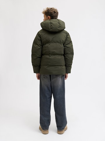 JACK & JONES Winterjacke 'JJKAITO PUFFER' in Grün