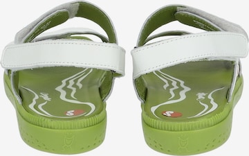 Softinos Sandale in Weiß