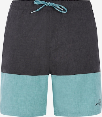 PROTEST Swimming shorts 'PRTFreddie' in Green: front