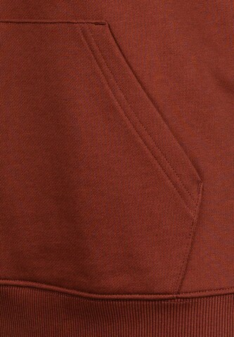 HUGO Sweatshirt in Braun