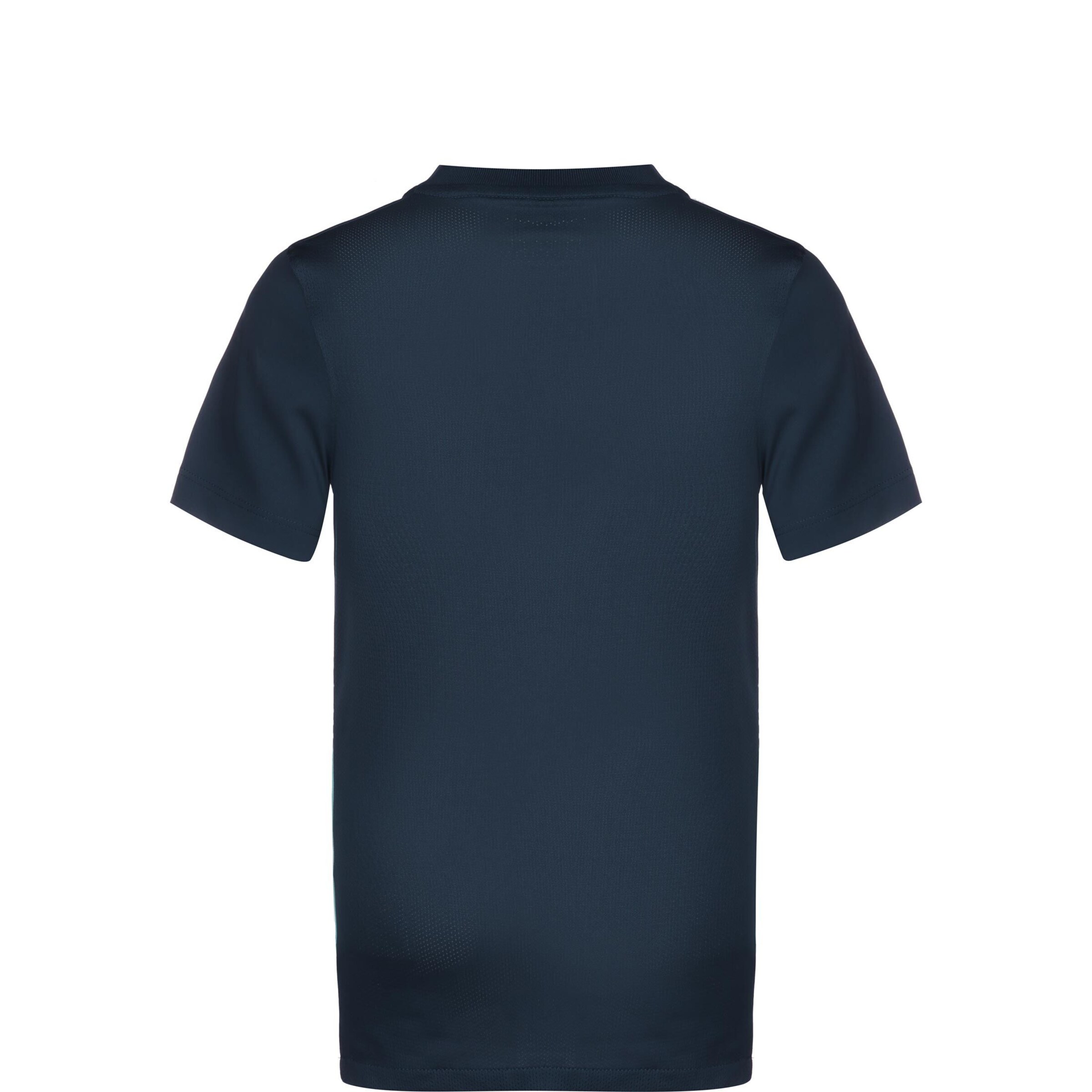 NIKE Trikot 'Precision VI' in Blau