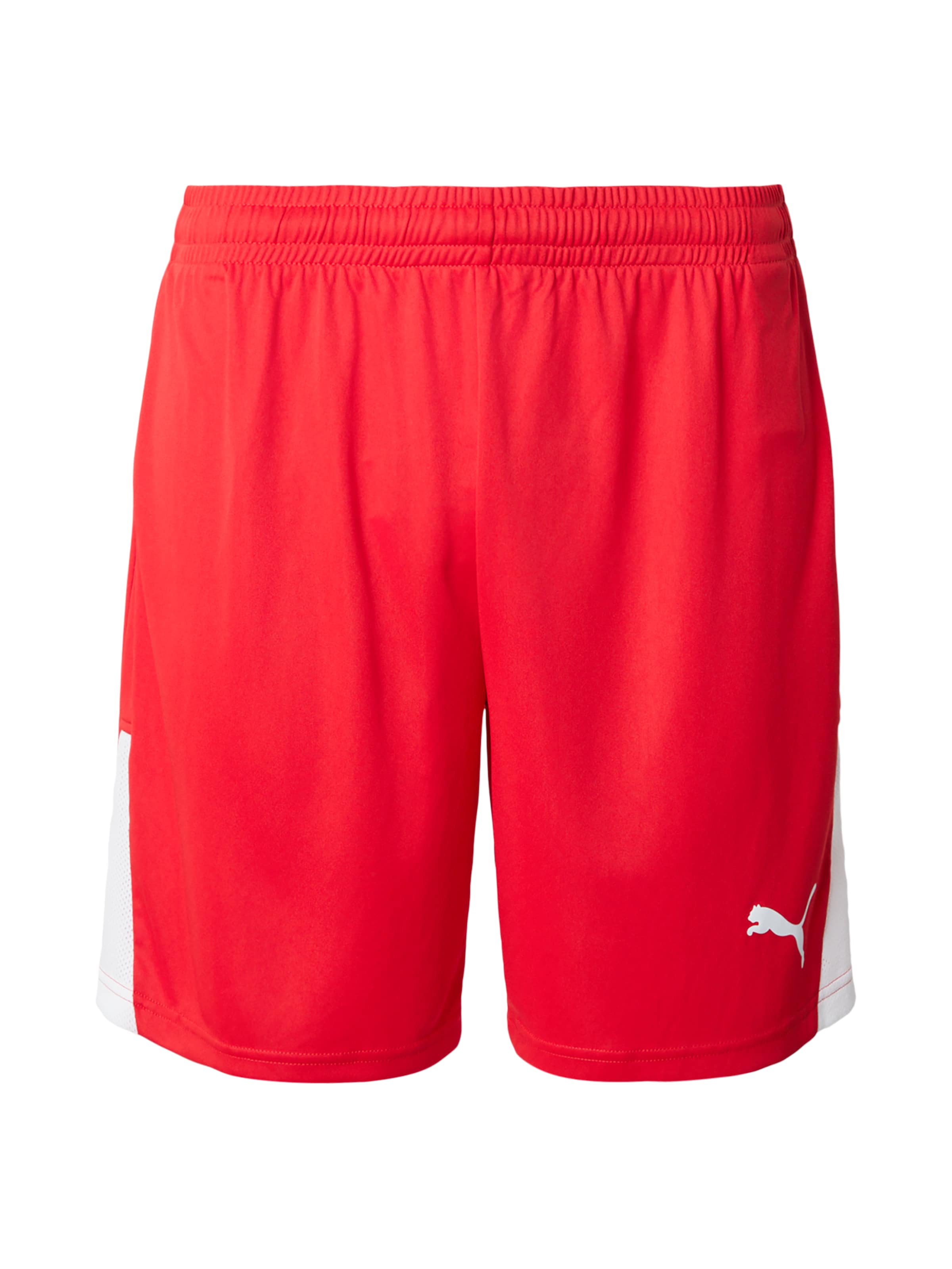 PUMA regular Παντελόνι φόρμας 'TeamLIGA26' σε κόκκινο: μπροστά