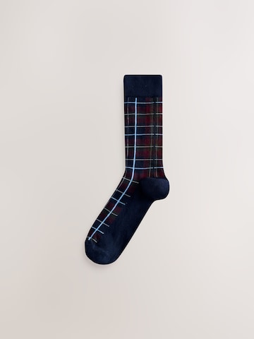 Next Socks in Blue
