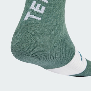 Chaussettes de sport ADIDAS TERREX en gris
