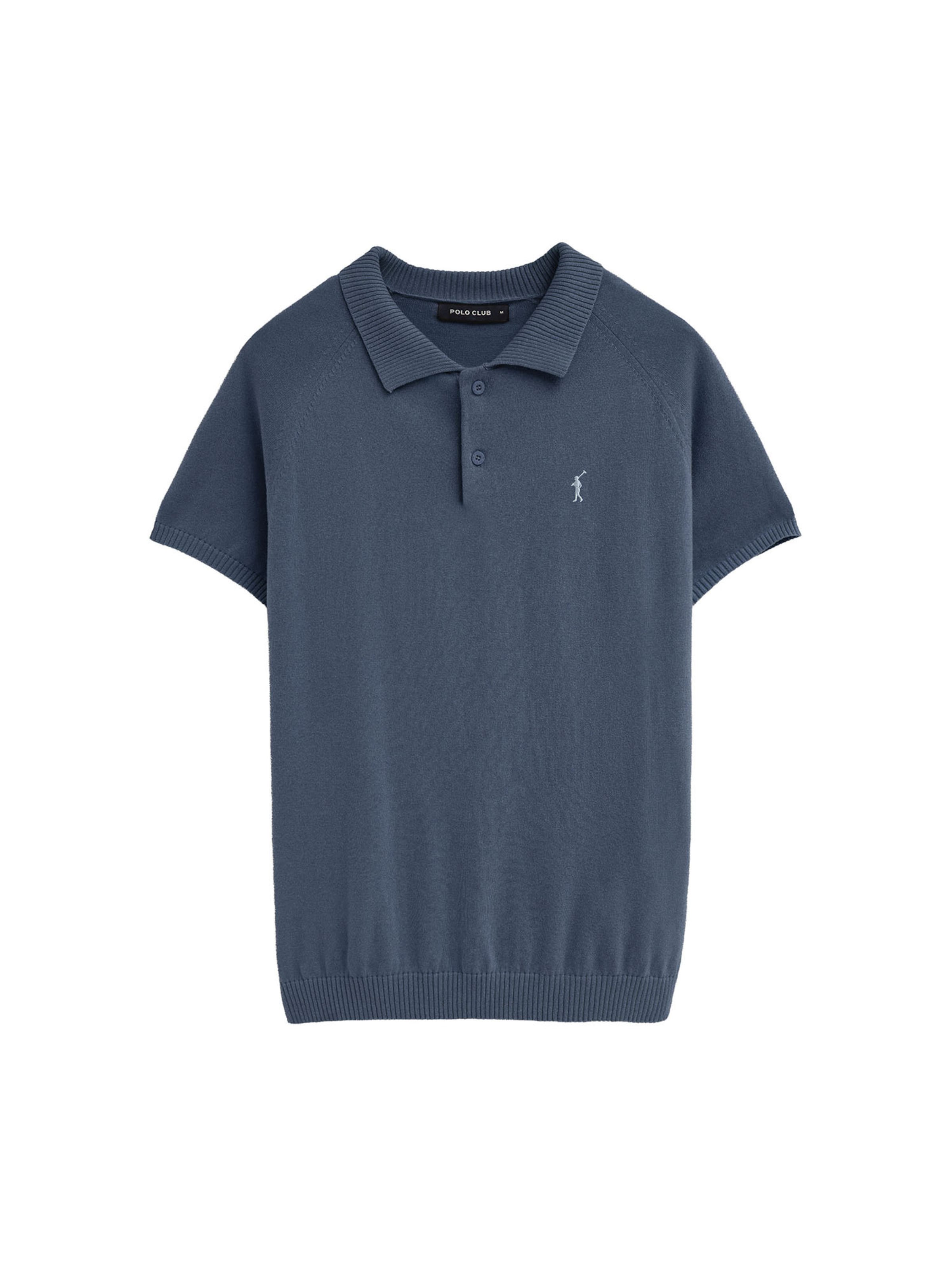 Polo Club Sweater 'Rigby Go' in Blue: front