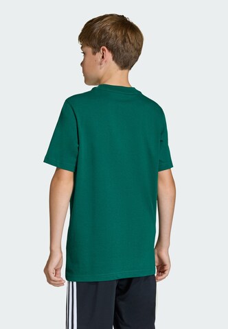 ADIDAS ORIGINALS Shirt 'Trefoil Essentials' in Green