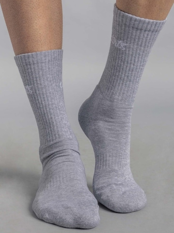 Dirts Socken 'Classic Logo Socks'‌‌‌‌ in Silber