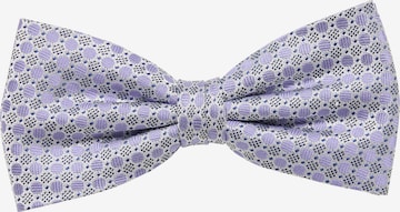 ETERNA Bow Tie in Purple: front