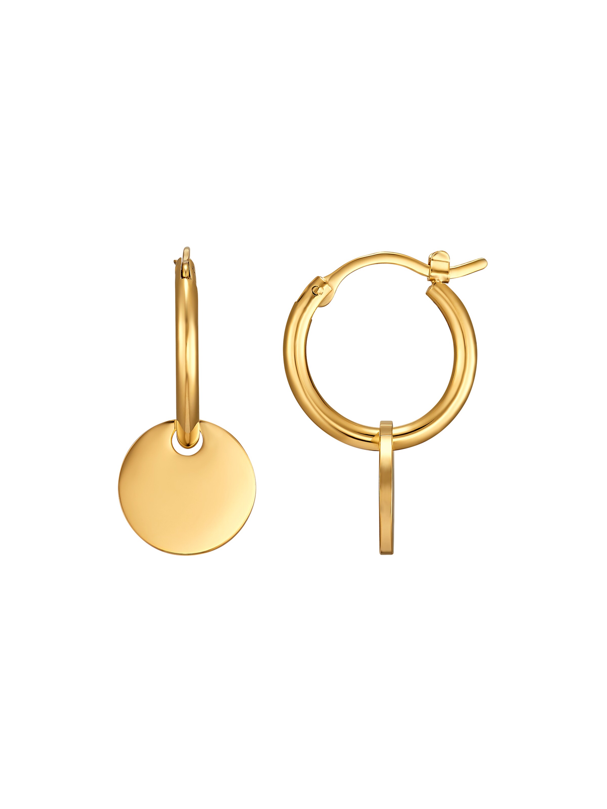 Heideman Earrings in Gold