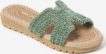 Brasileras - Pantufa 'Braida' em verde: frente