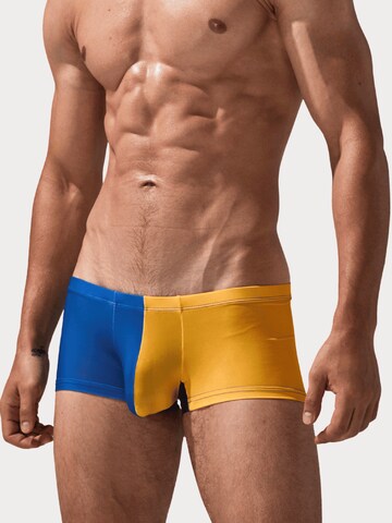 SEOBEAN Boxershorts in Gelb: Vorderseite