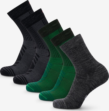 Chaussettes de sport DANISH ENDURANCE en gris : devant