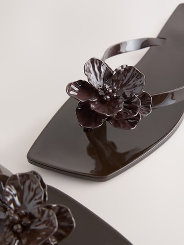 Next Japonke | rjava barva