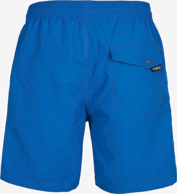 Pantaloni de baie de la O'NEILL pe albastru