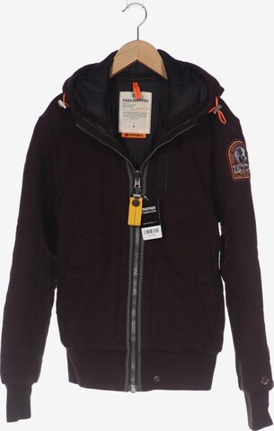 Parajumpers Jacket & Coat in S in Brown: front