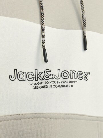 JACK & JONES Sweatshirt in Grey