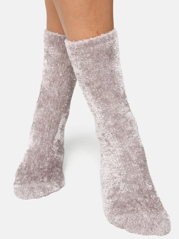 Chaussettes Nur Die en gris : devant
