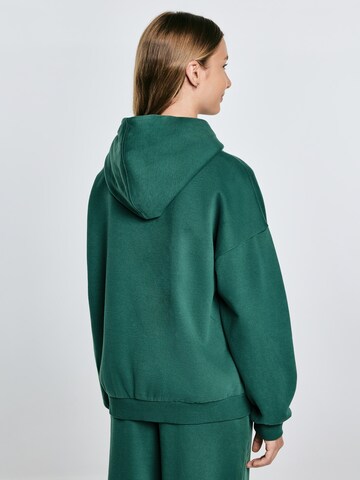 BIG STAR Sweatshirt ' RUBILIA ' in Green