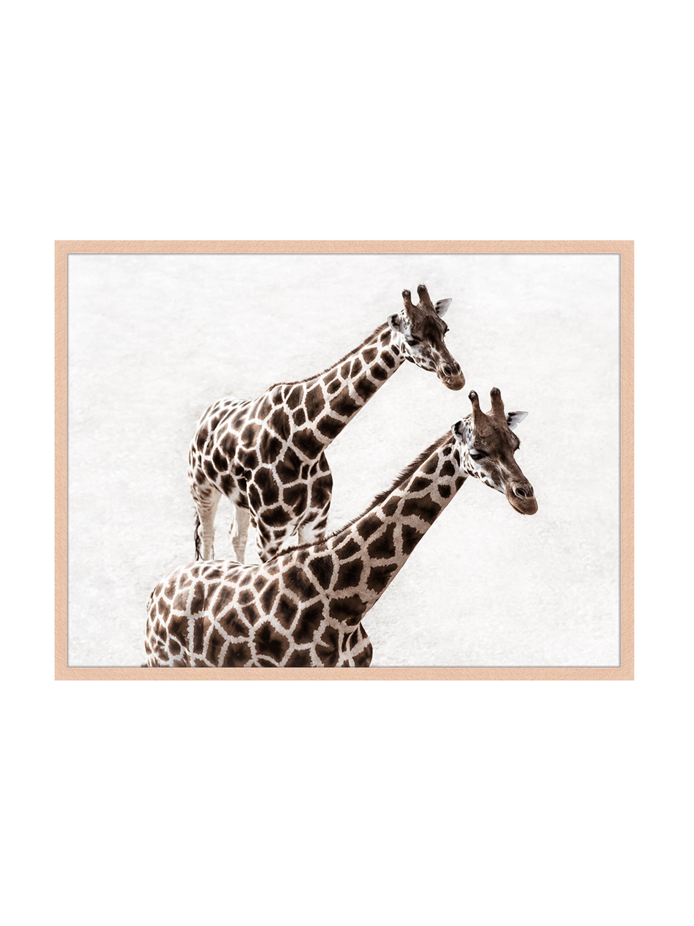 Liv Corday Bild 'Giraffes Couple' in Braun: Vorderseite