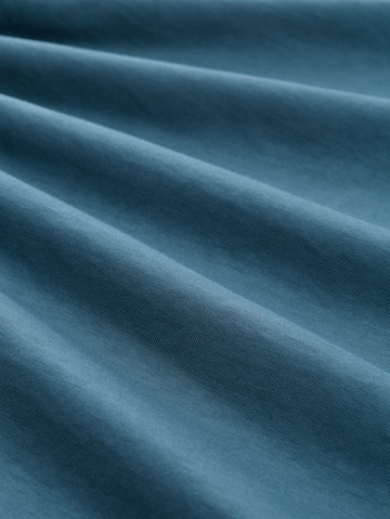 TOM TAILOR DENIM Shirt in Blauw