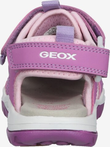 GEOX Sandals in Purple