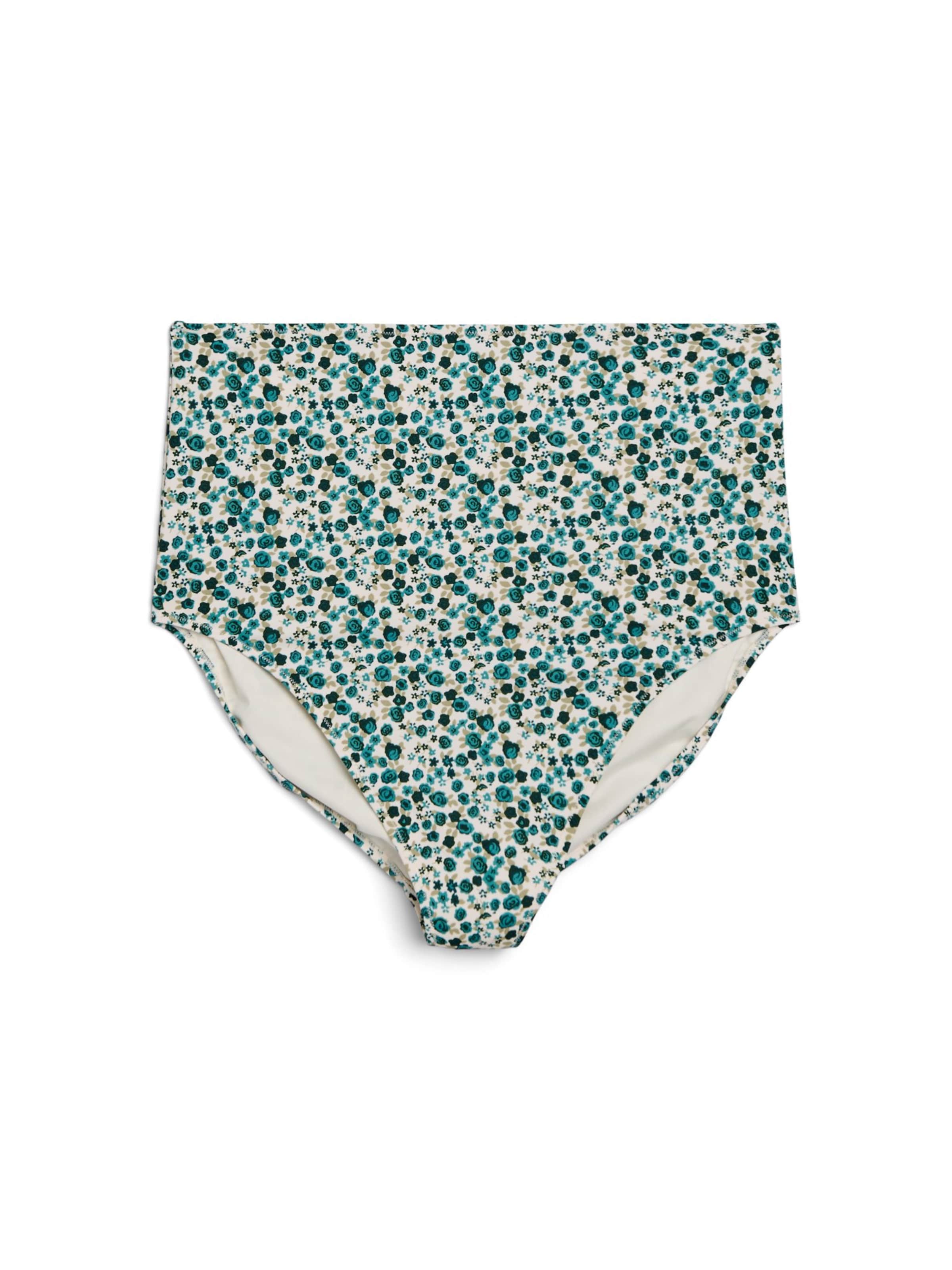 Swim by Zizzi Σλιπ μπικίνι 'Skatrin' σε πράσινο: μπροστά