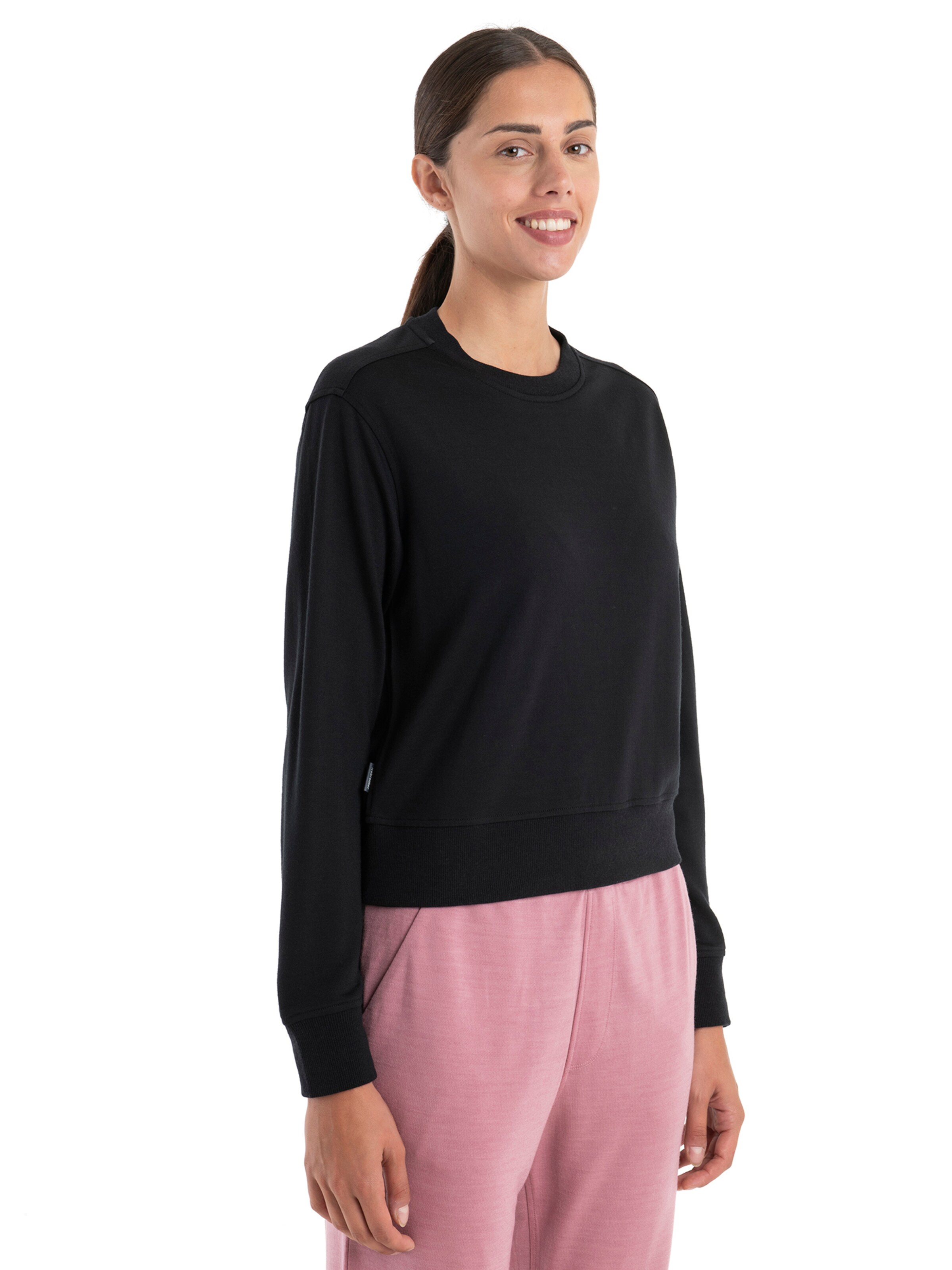 ICEBREAKER Sweatshirt 'Crush II' in Black