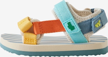 Next Sandale in Mischfarben: Vorderseite