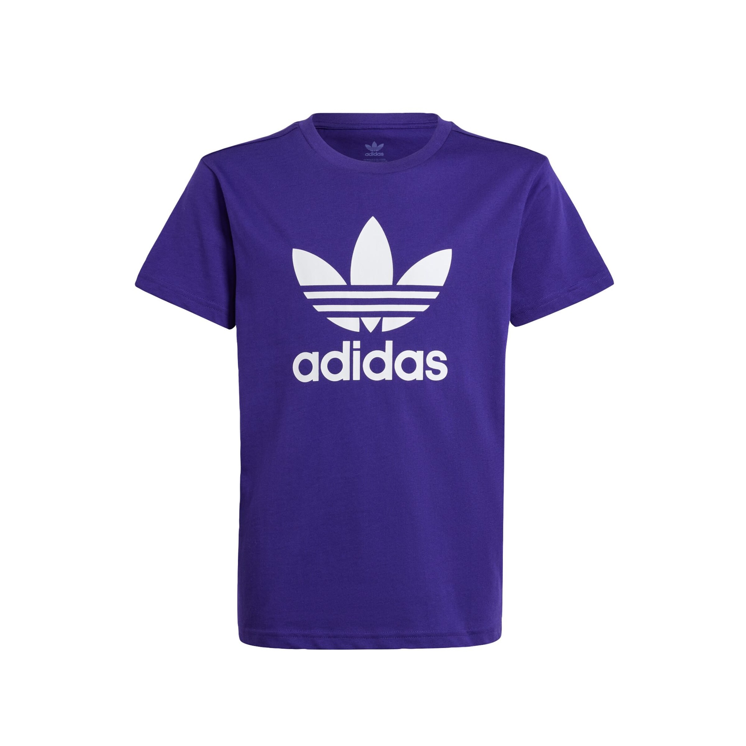 T-Shirt 'Adicolor Trefoil' ADIDAS ORIGINALS en violet : devant