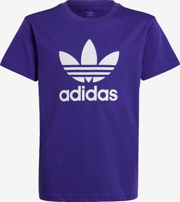 T-Shirt 'Adicolor Trefoil' ADIDAS ORIGINALS en violet : devant