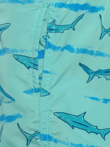 Shorts de bain Daniel Hills en bleu