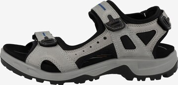 Sandales de randonnée ECCO en gris