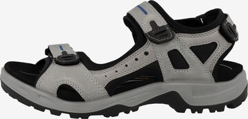 ECCO Wandelsandalen in Grijs