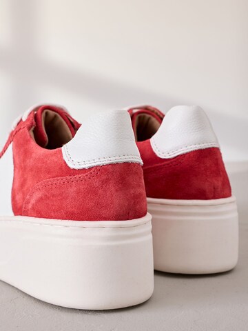Sneaker bassa di Next in rosso