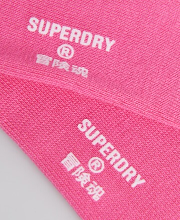 Superdry Sokken in Roze