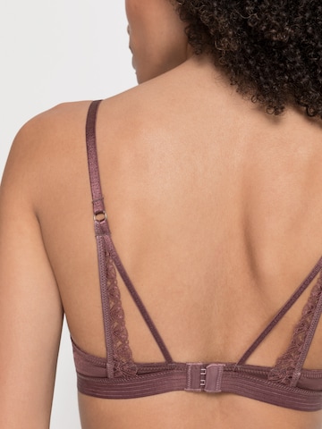 Invisible Soutien-gorge s.Oliver en marron