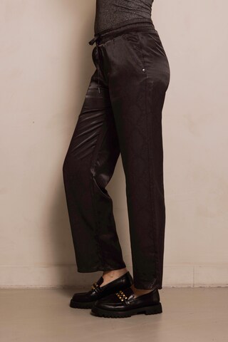 Zhrill Loose fit Pants in Brown