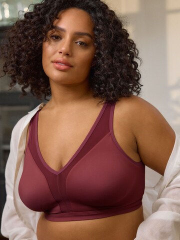 Next - Bustier Sujetador en lila