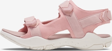 Sandales Hummel en rose : devant