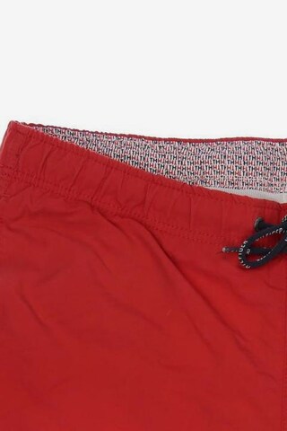 TOMMY HILFIGER Shorts in 33 in Red
