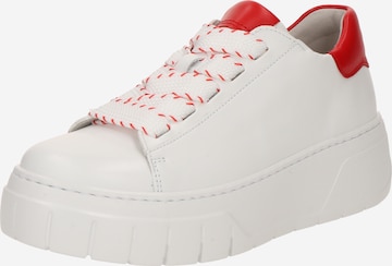 Baskets basses GABOR en blanc : devant