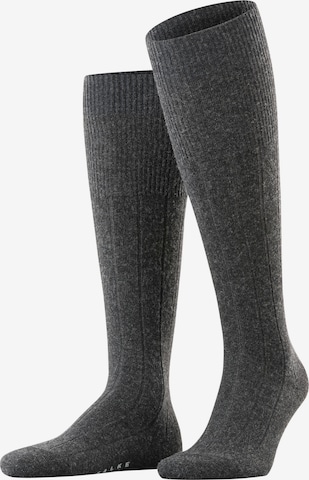 FALKE Knee High Socks 'Lhasa Rib' in Grey: front