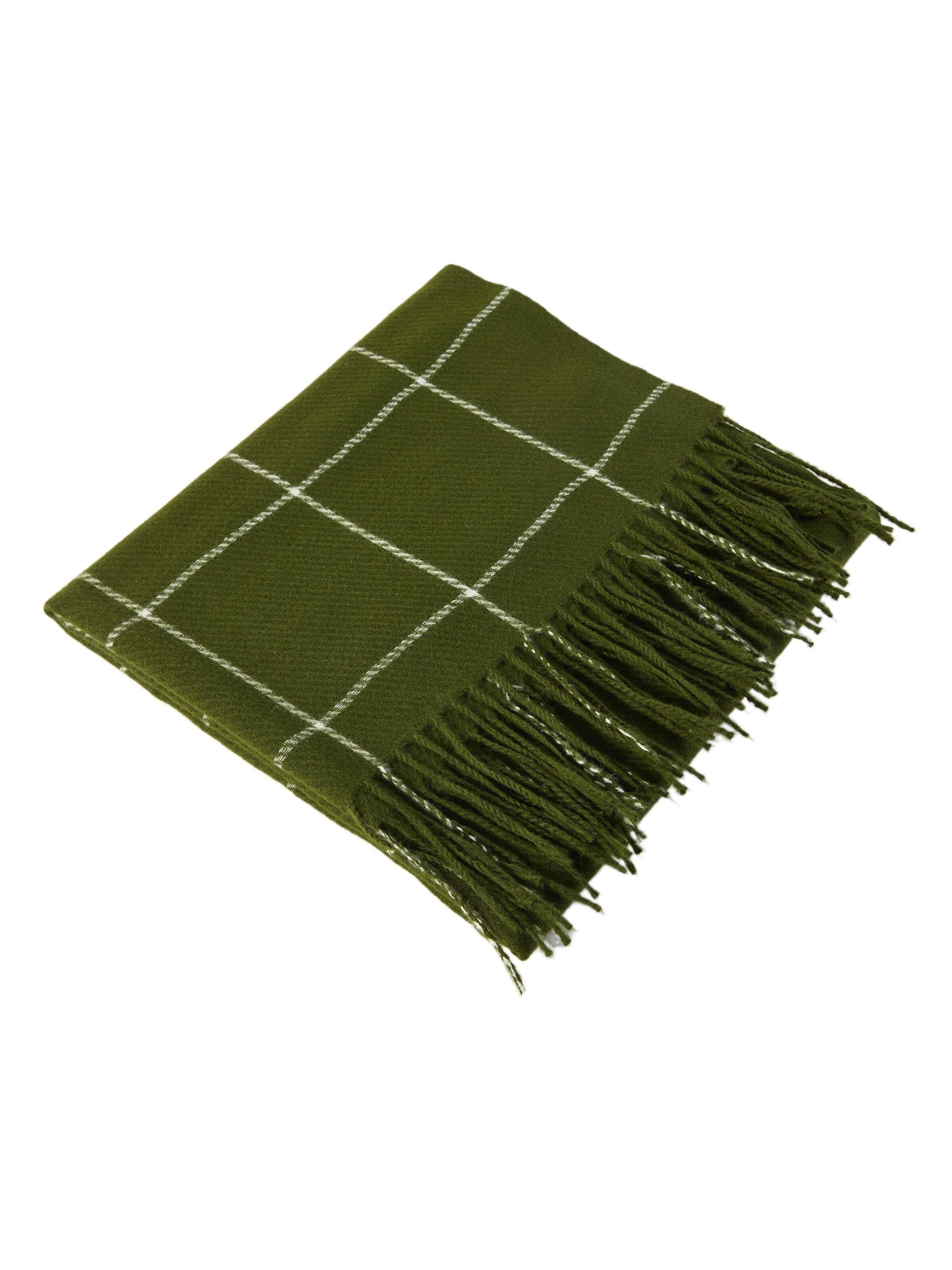 alberto cabale Scarf 'Line' in Green