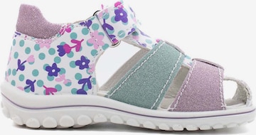 PRIMIGI Sandals & Slippers in Mixed colors