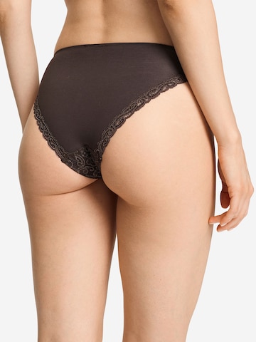 Hanro Panty ' Moments ' in Brown
